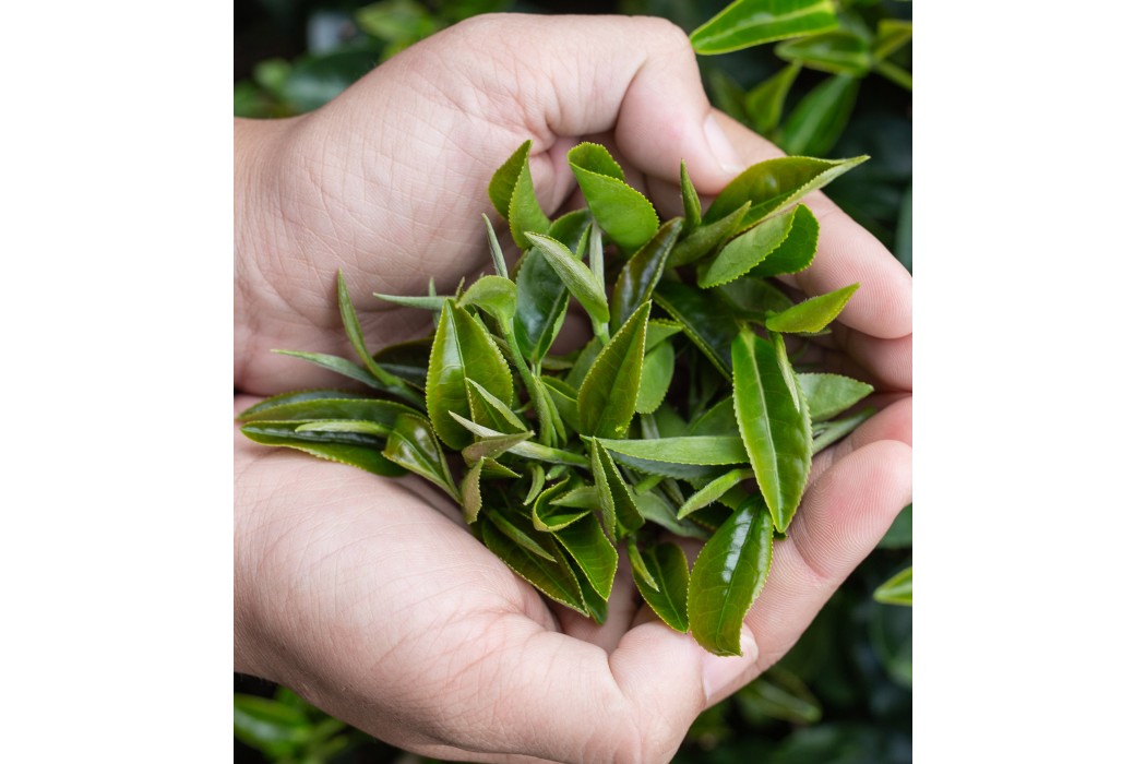 Çay ve Çaydanlık arasındaki ilişki